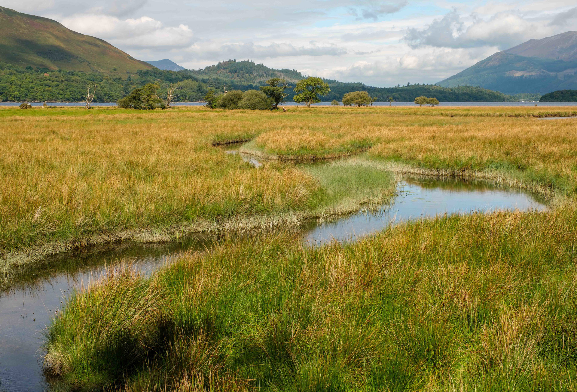 Derwentwater